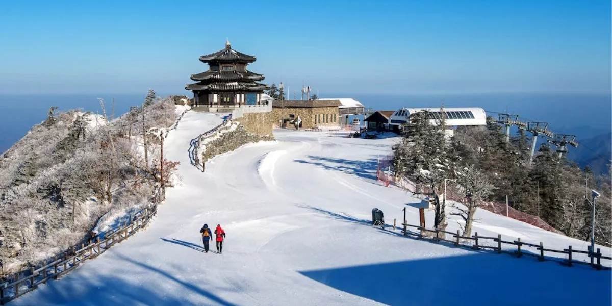Explore Dharamshala & Manali from Amritsar