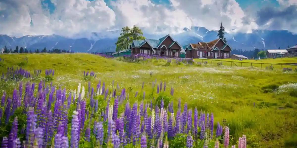 Amritsar to Kashmir Lakes & Valleys Tour