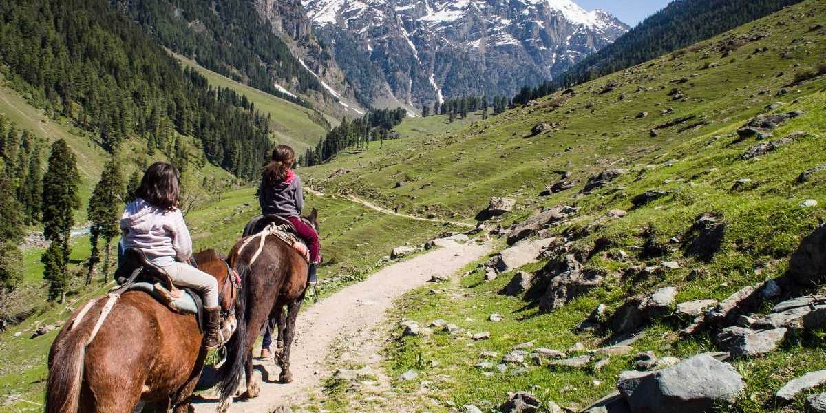 Chandigarh to Srinagar Mountain Escape
