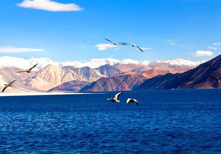 Ladakh Calling: Amritsar to Leh Adventure Drive