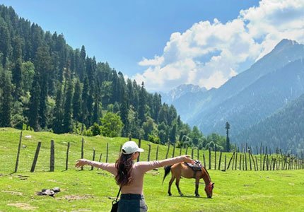 Amritsar to Srinagar, Gulmarg, Pahalgam & Sonmarg Explorer