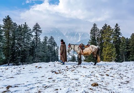 7 Days in Heaven: Complete Kashmir Delight Tour
